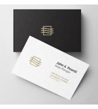 Budget Business Cards x2000 360Mic